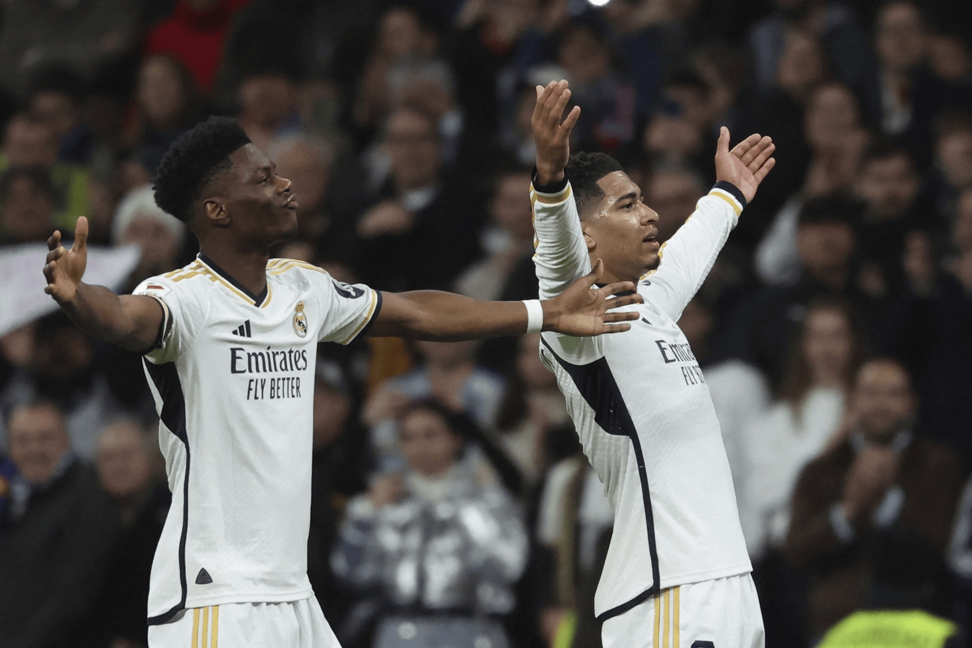 风云突变马赛转会期遗憾出局迈阿密热火强势反弹备战全明星赛之后，转会期纽卡斯尔备战英超